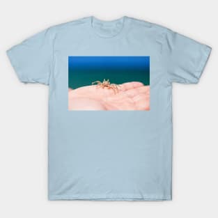 Little crab on human hand against blue sky and green ocean T-Shirt